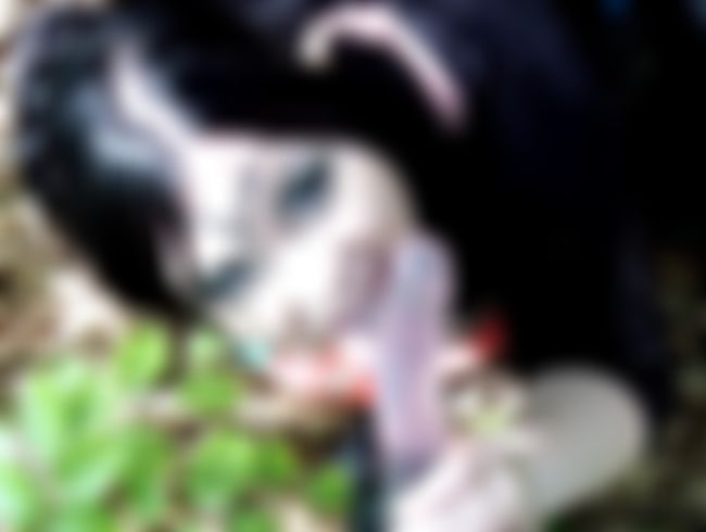 MinaDemonic Porno Video: Süße Versuchung im Elfenwald